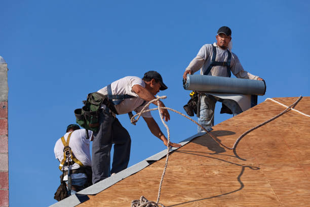 Best Local Roofing Companies  in Hereford, TX