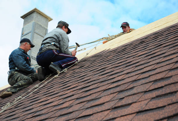 Best Roof Gutter Cleaning  in Hereford, TX